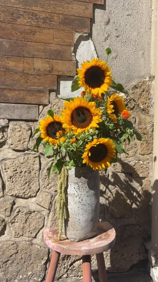 Tournesols devant la boutique